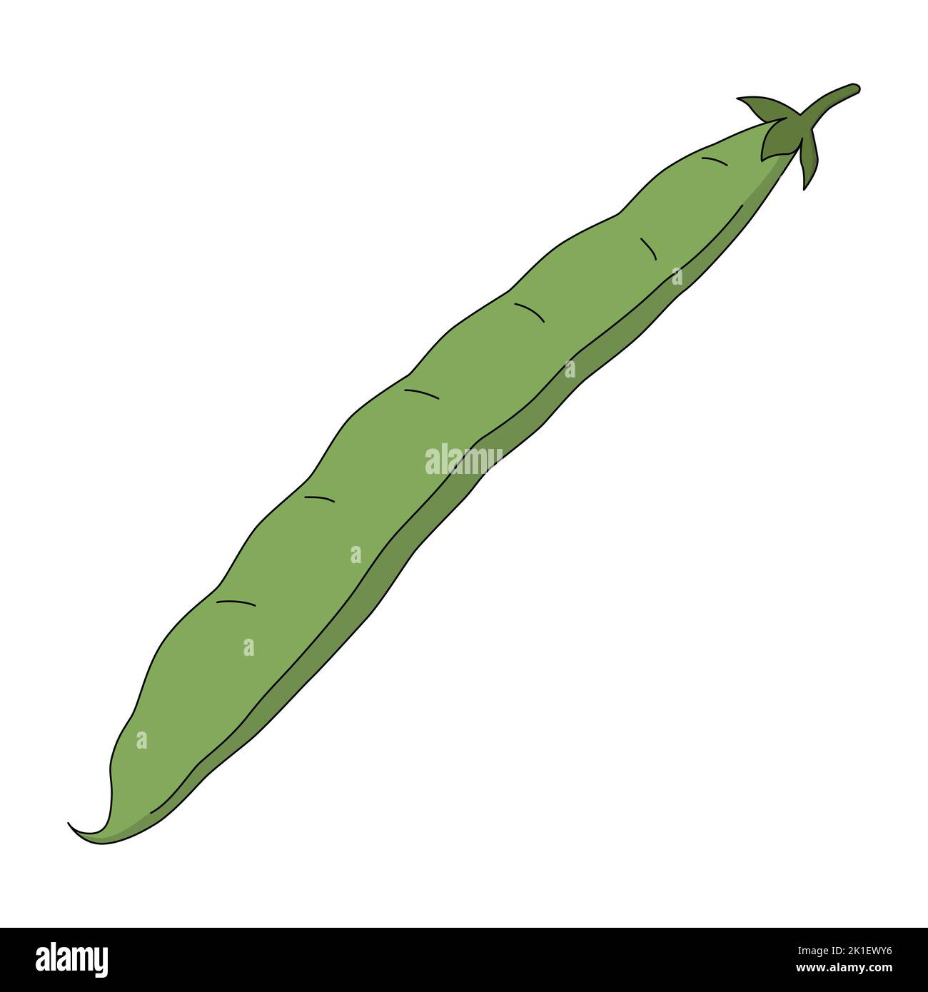 Un bean pod in stile cartoon. Illustrazione vettoriale di phaseolus vulgaris isolato su sfondo bianco. Fonte di vitamine, ingrediente per cibo sano Illustrazione Vettoriale