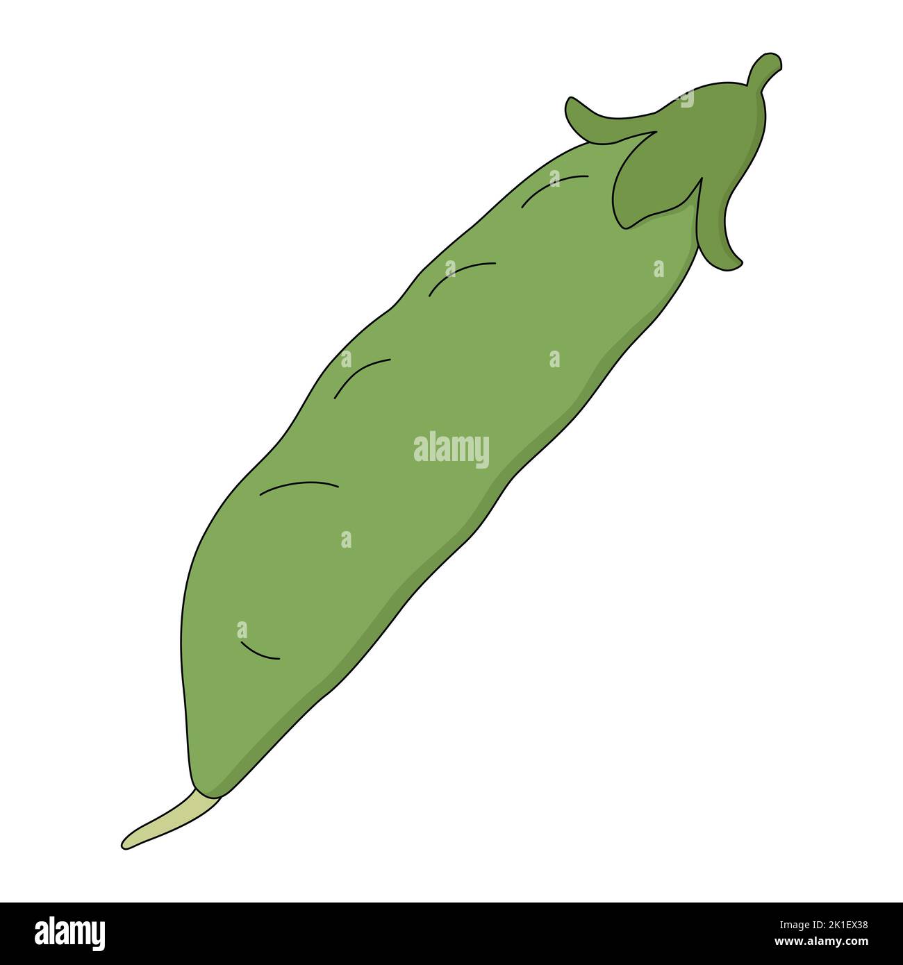 Illustrazione vettoriale dei piselli isolati su sfondo bianco. Stile cartone animato. Verdura matura per la cottura, fonte di vitamine Illustrazione Vettoriale