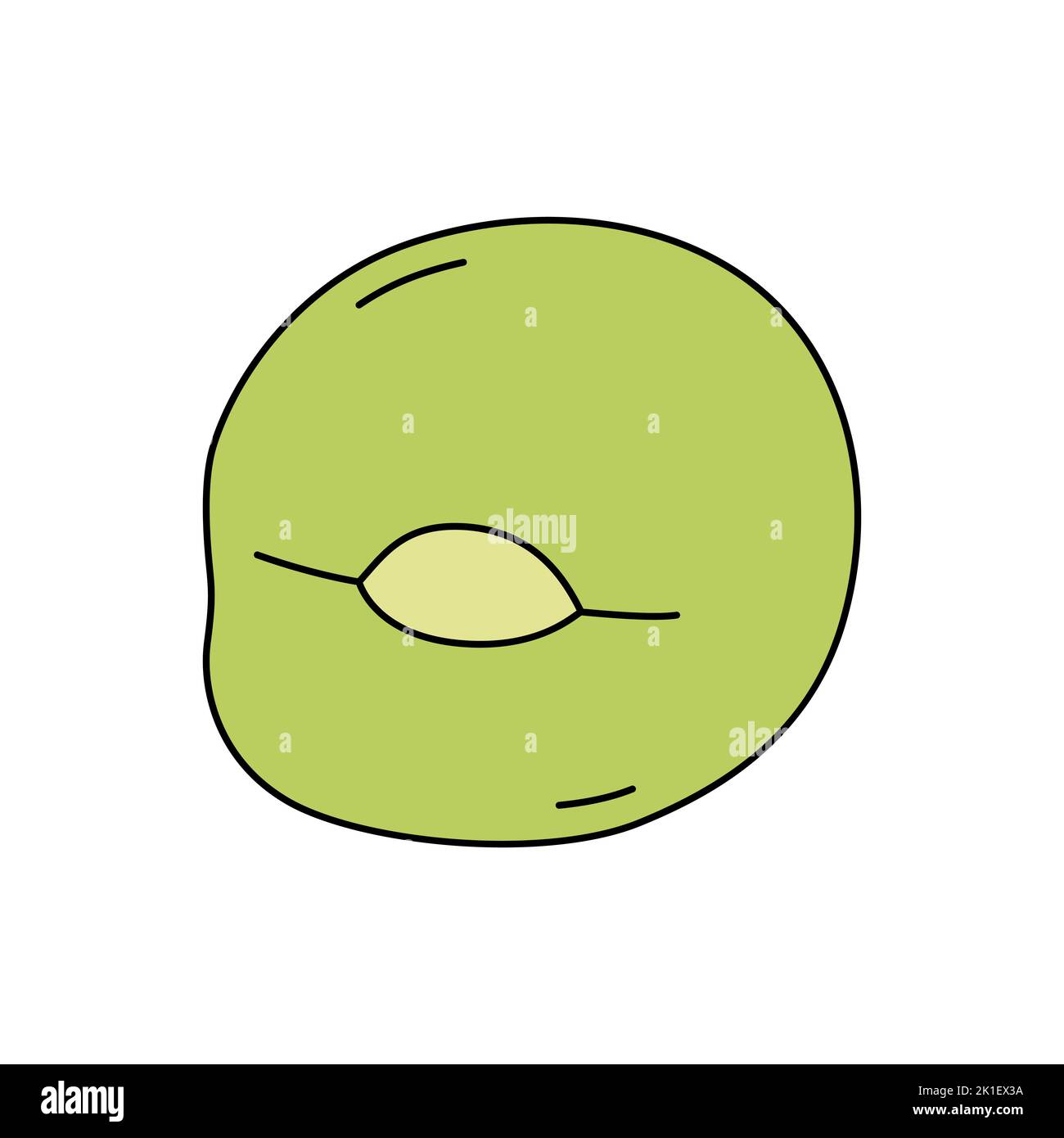 Illustrazione vettoriale del seme di pisello isolato su sfondo bianco. Stile cartone animato Illustrazione Vettoriale