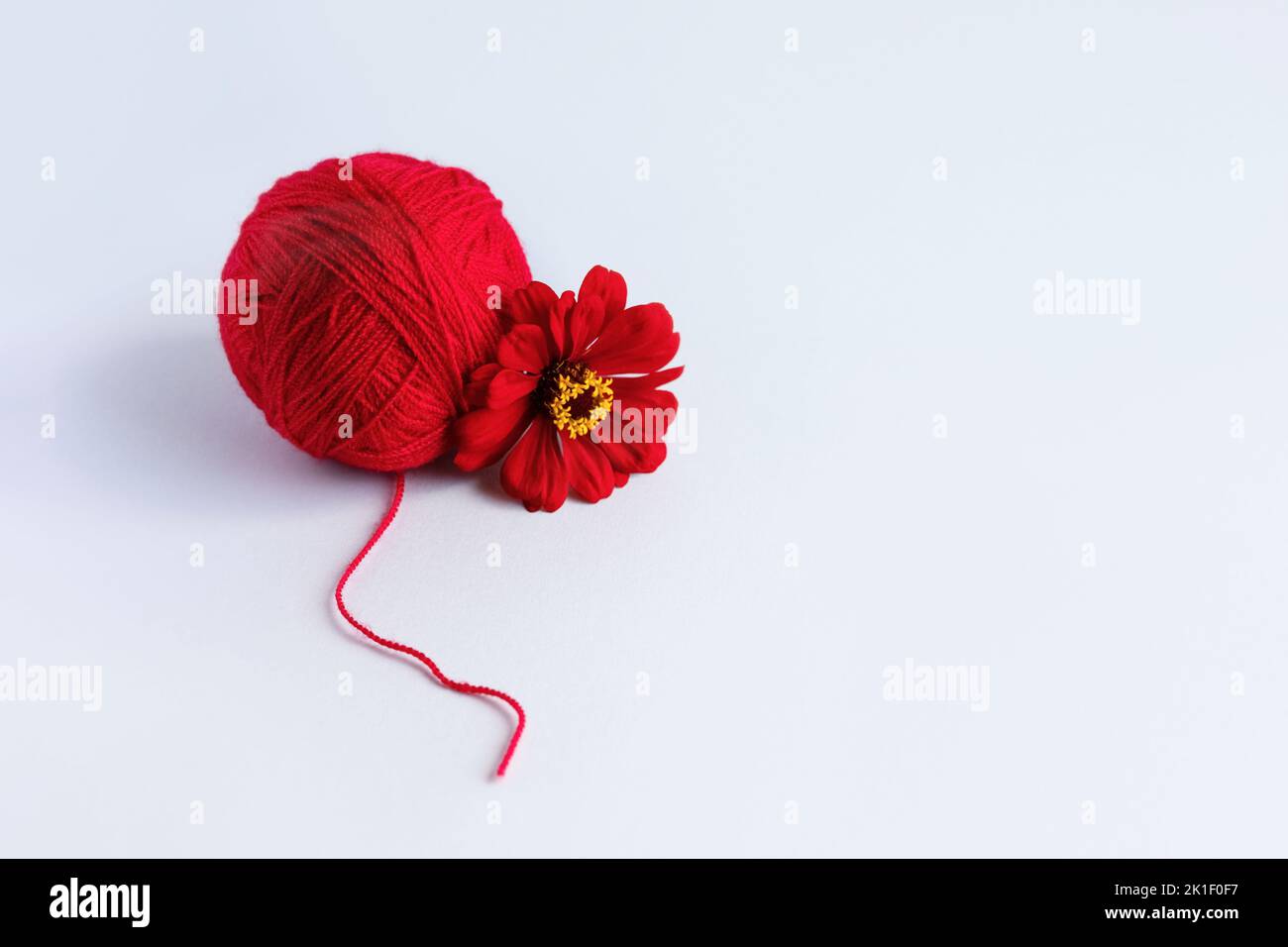 Una palla rossa di filo e un fiore di tsinia su sfondo verde Foto Stock