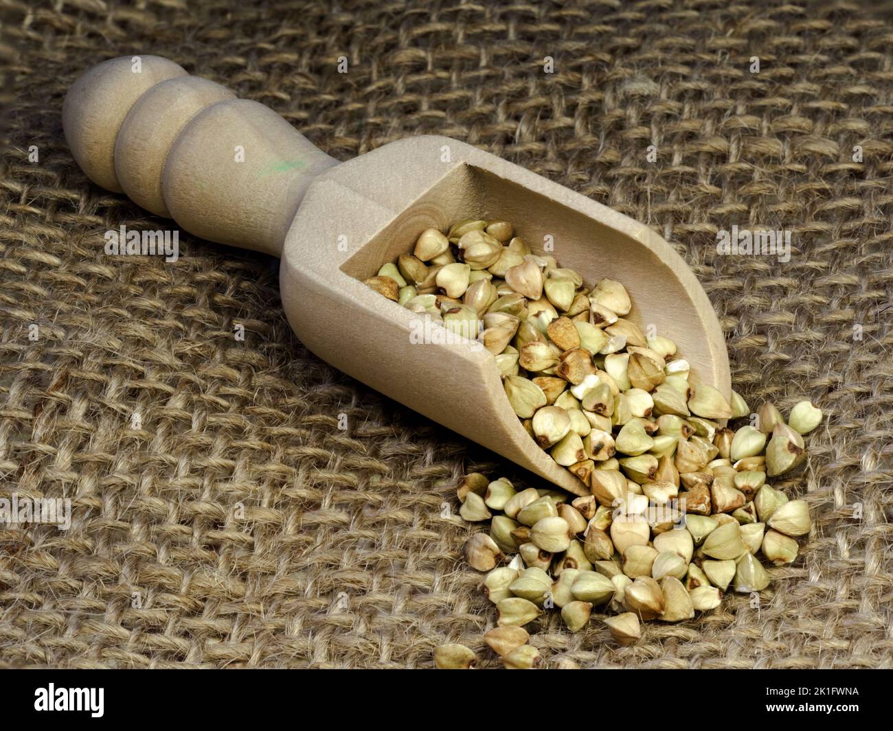 Macro Foto di grano saraceno alimentare su un cucchiaio di legno. La struttura fibrosa di un materiale naturale per lo stoccaggio del grano saraceno. Un'immagine di un grano di grano saraceno f Foto Stock