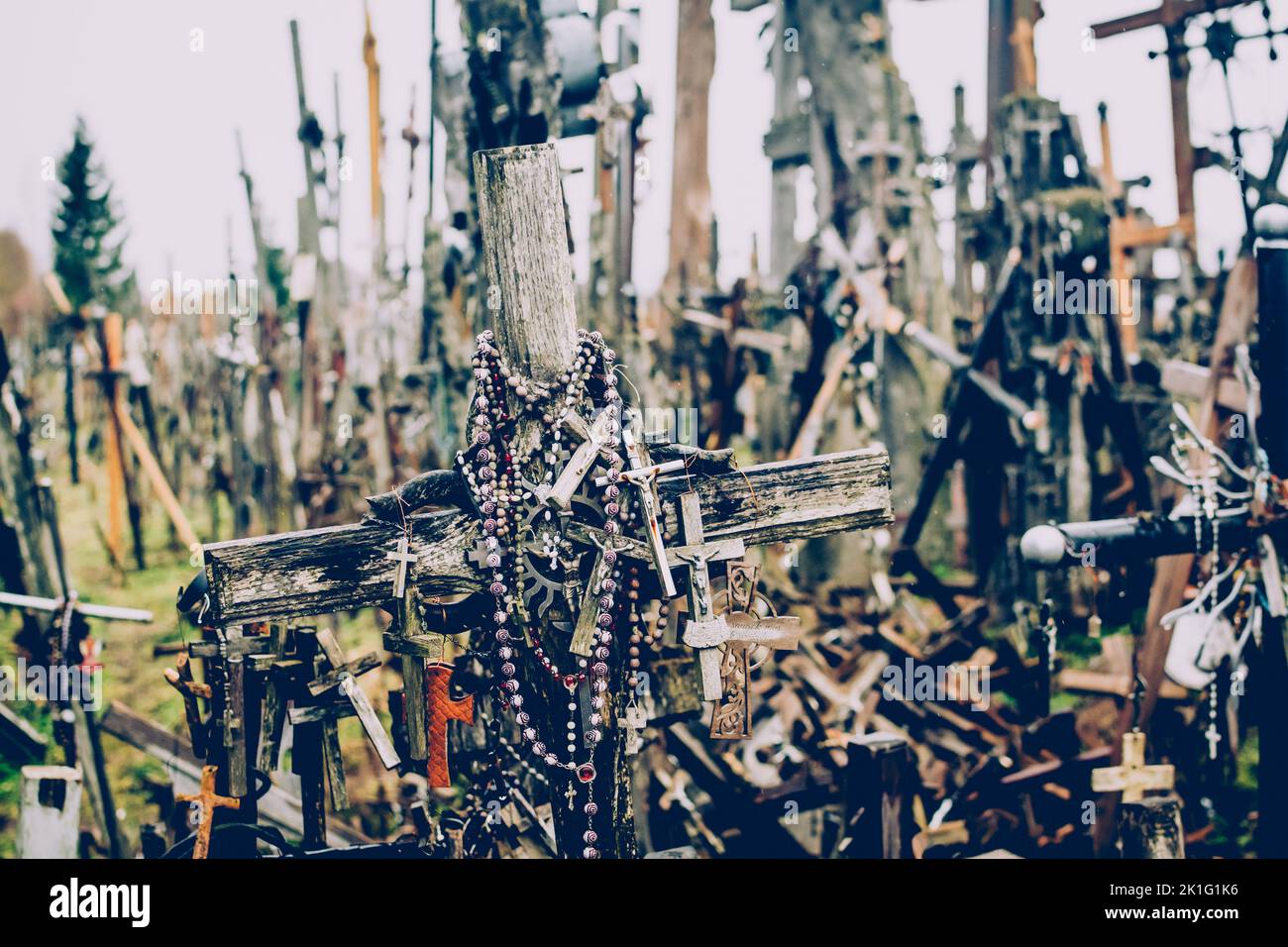 Sfondo con migliaia di croci Foto Stock