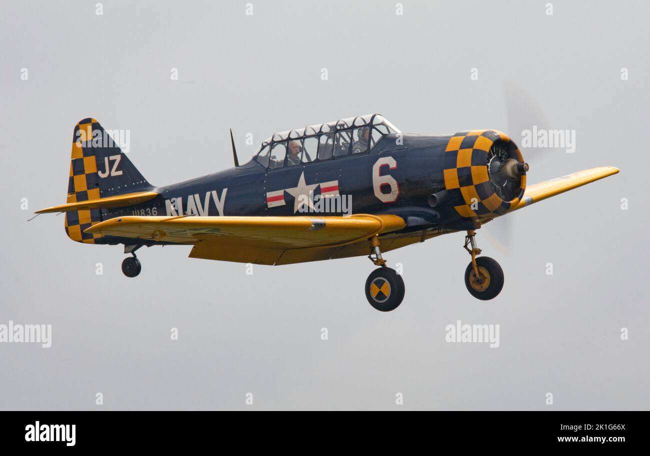 Harvard T6 atterrando dopo che è esposizione di volo alla IWM Duxford Battle of Britain Airshow 10th settembre 2022 Foto Stock