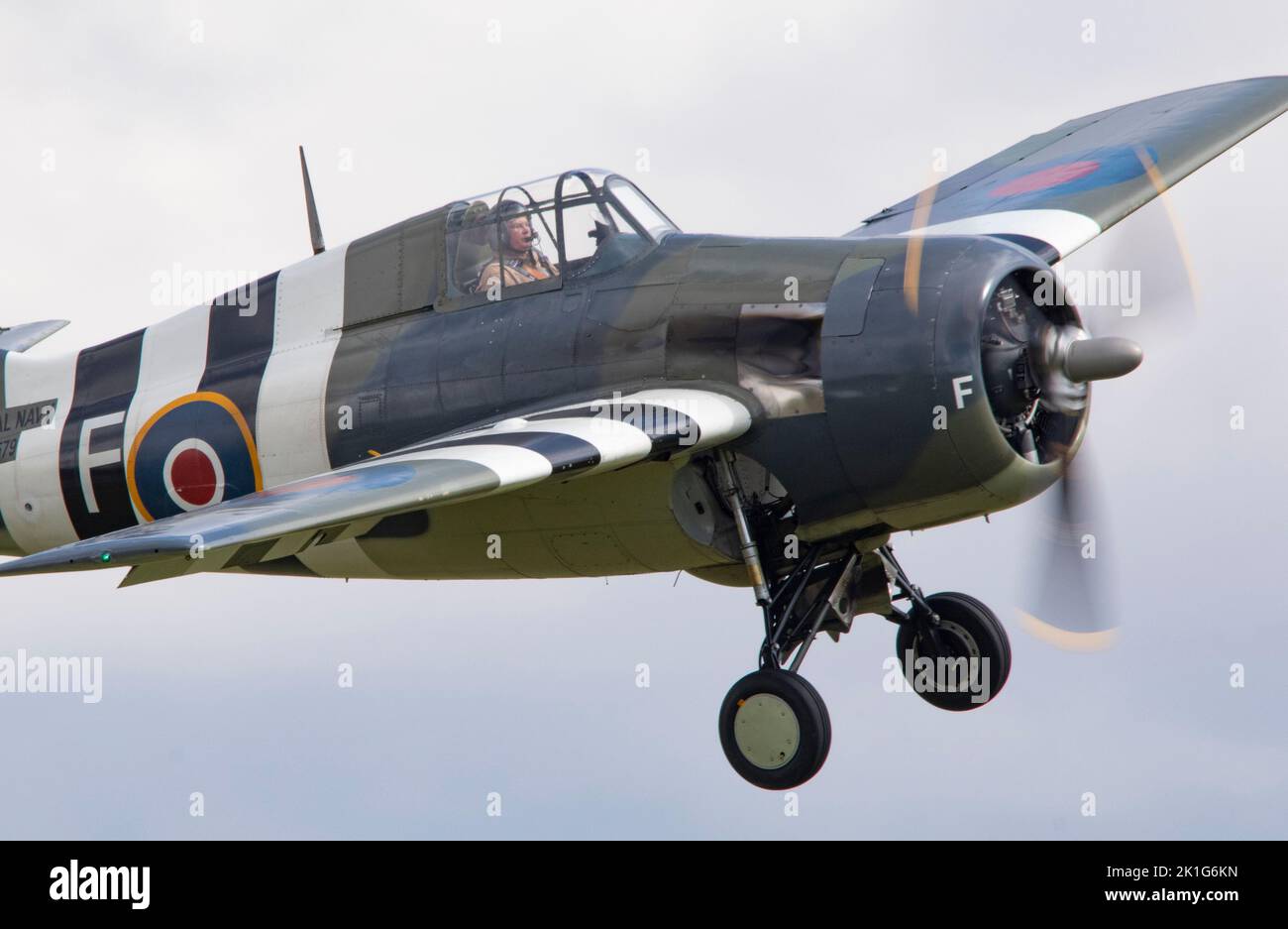 Grumman FM2 Wildcat (G-RUMW) atterrando al crepuscolo, dopo che è esposizione di volo all'IWM Duxford Battle of Britain Airshow 10th settembre 2022 Foto Stock