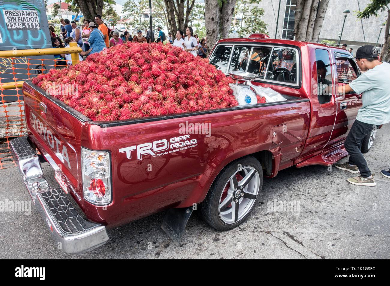 Un camion pick-up riempito con la frutta Rambutan (Nephelium lappaceum) per la vendita a San José, Costa Rica. Foto Stock