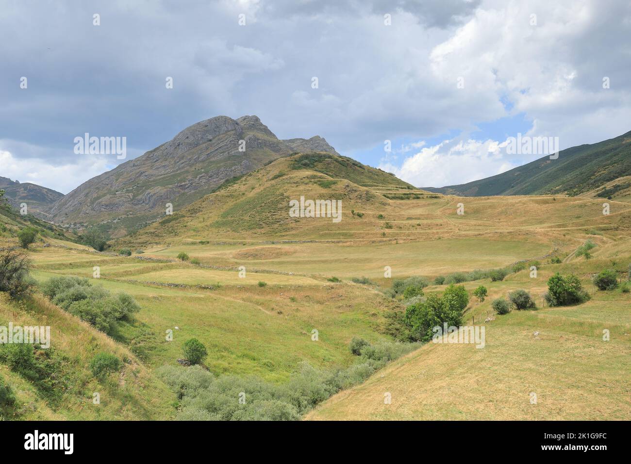 Prati estivi d'oro e dolci pendii di montagna vicino a Somiedo nelle Asturie, in Spagna, sotto cieli luminosi con nuvole testurizzate che creano un tranquillo altopiano. Foto Stock