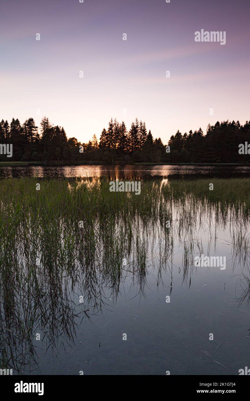 Queens Loch su Royal Deeside in Scozia Foto Stock