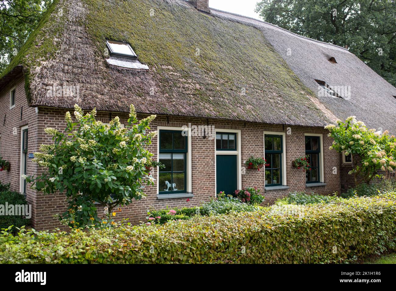 Autentica vecchia fattoria a Oud Aalden, provincia Drenthe, Paesi Bassi Foto Stock