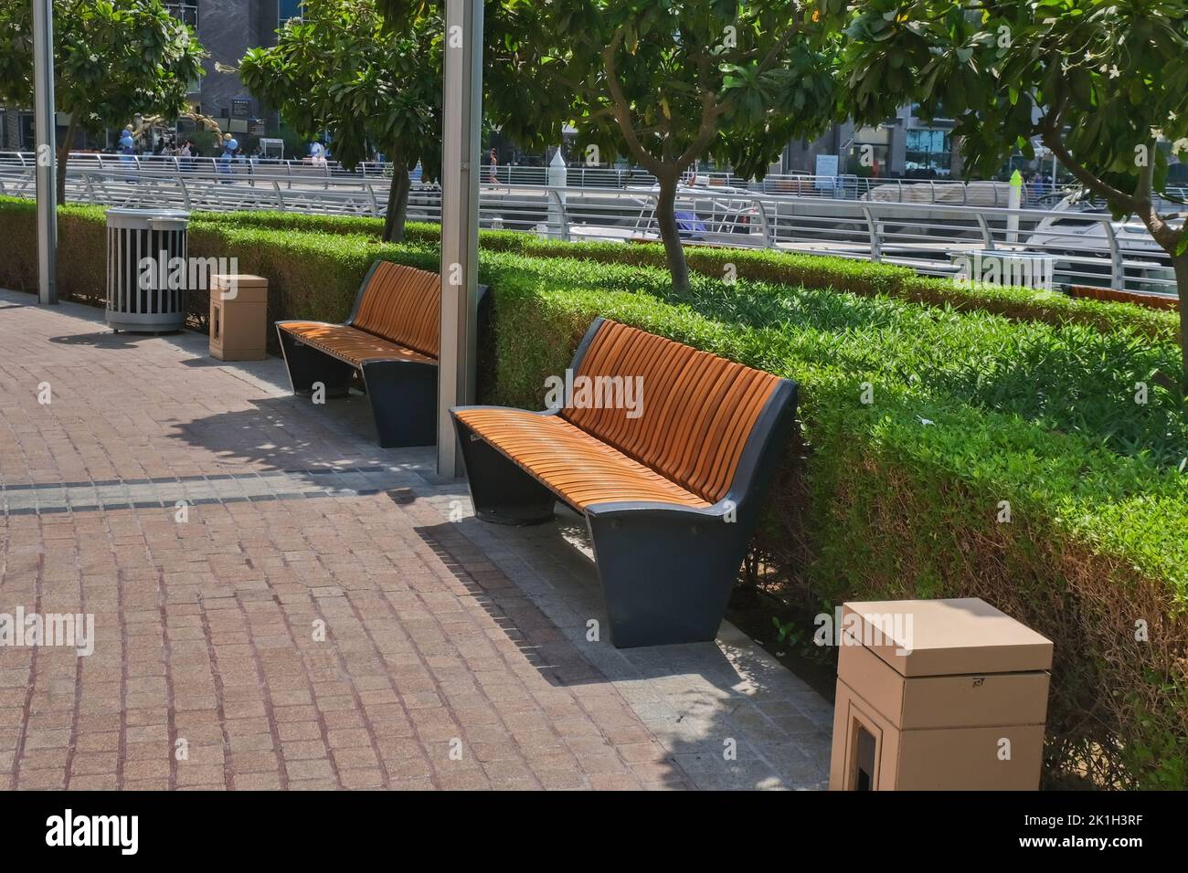 Area ricreativa con panchine in legno contemporaneo vuote lungo recinzione di piante verdi ricurve. Arredo urbano moderno pubblico. Foto Stock