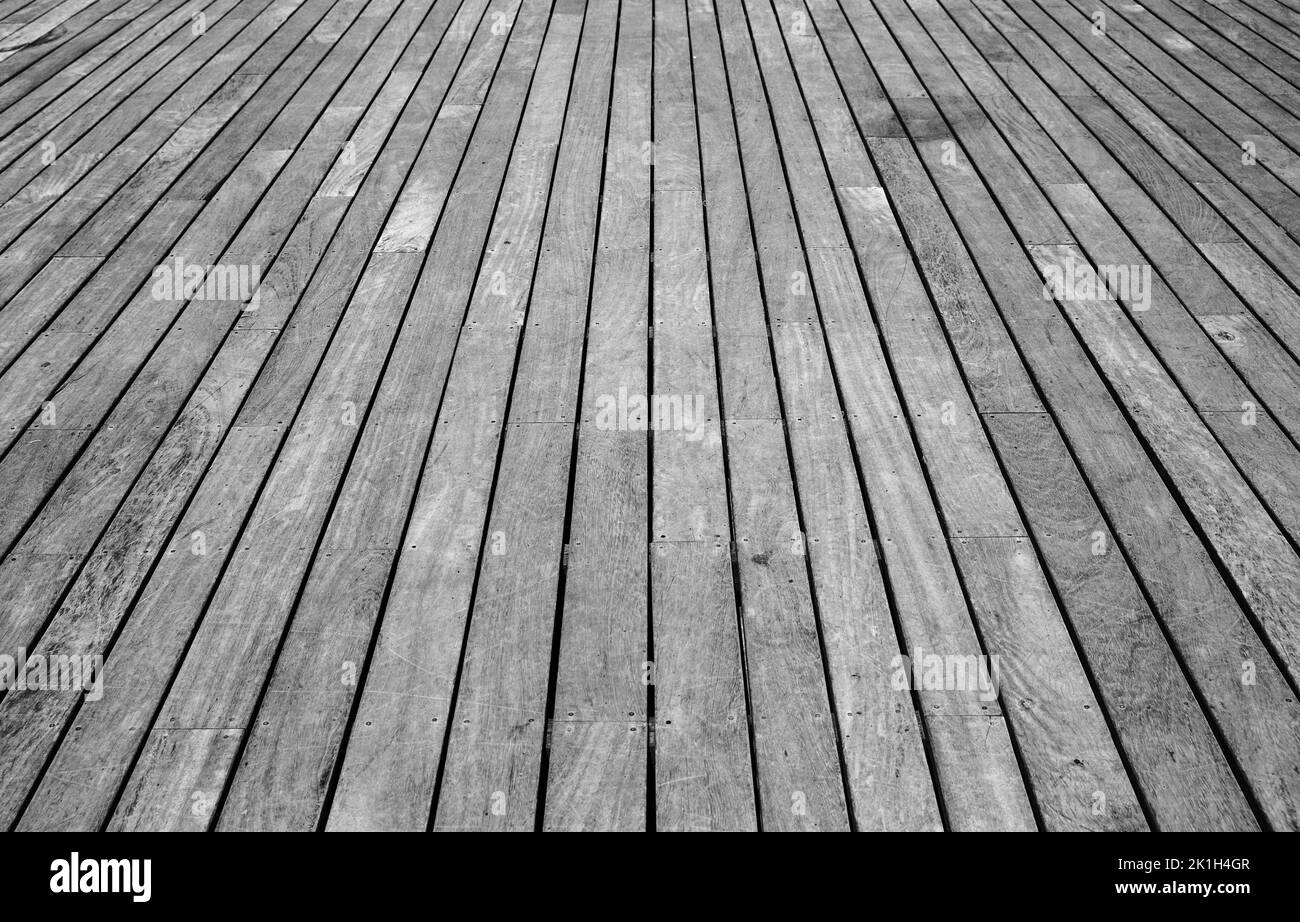 Pavimento in legno di larice ruvido, foto di sfondo bianco e nero con effetto prospettico Foto Stock