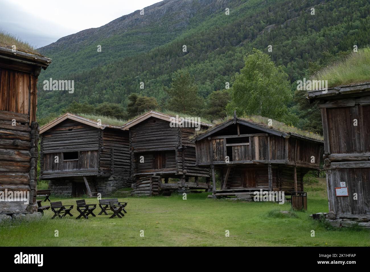 Paesaggi meravigliosi in Norvegia. Innlandet. Bellissimo scenario di case con tetto in erba. Architettura tradizionale norvegese. Montagne e alberi a bac Foto Stock