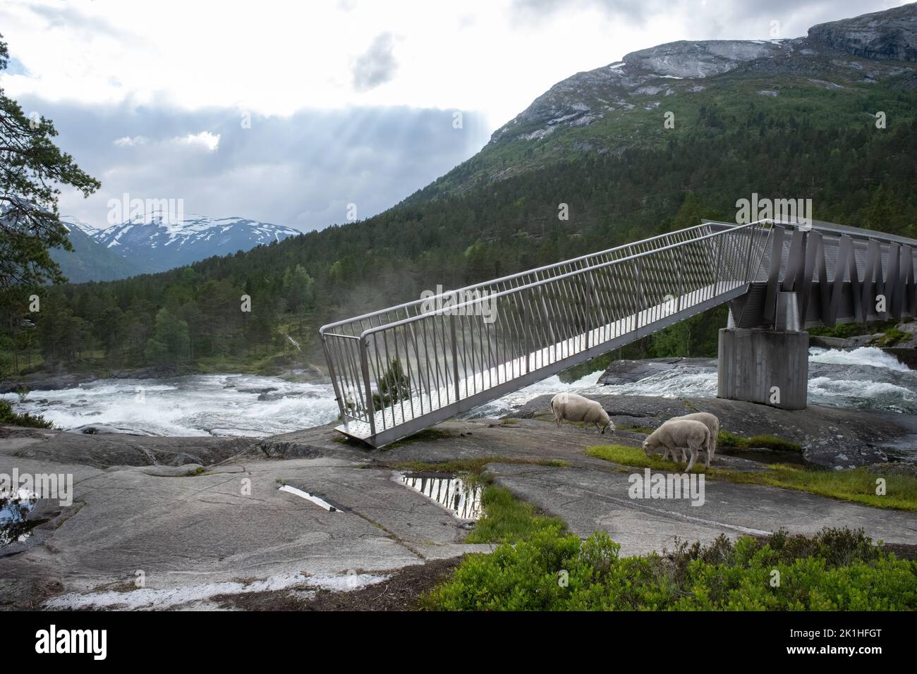 Paesaggi meravigliosi in Norvegia. Vestland. Splendido scenario della cascata di Likholefossen e del fiume Eldalselva Gaula. Montagna, alberi e pecore in backg Foto Stock