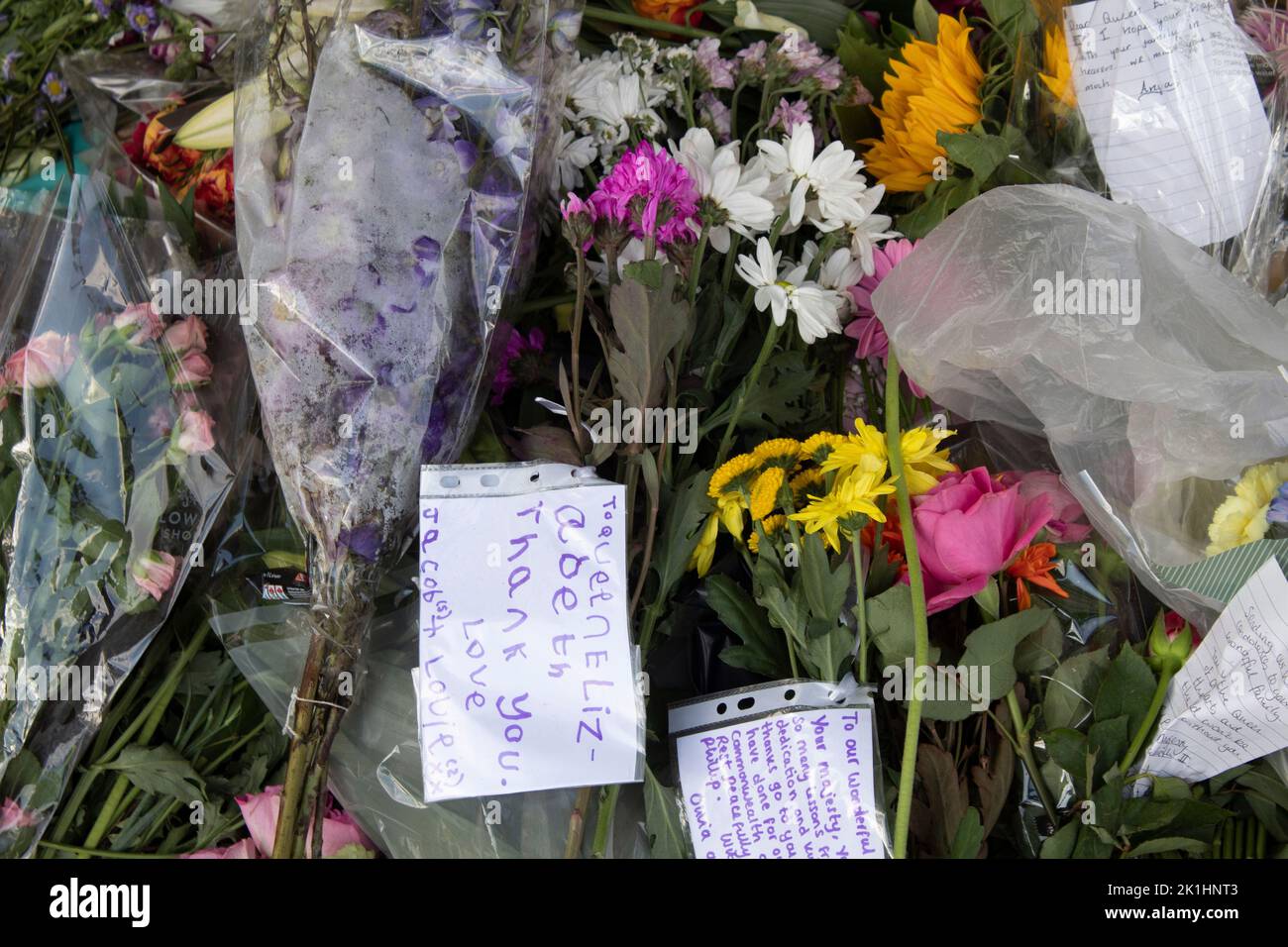 Omaggi floreali, biglietti e messaggi lasciati a Green Park dopo la morte della Regina Elisabetta, 18 settembre 2022, Londra Inghilterra Foto Stock