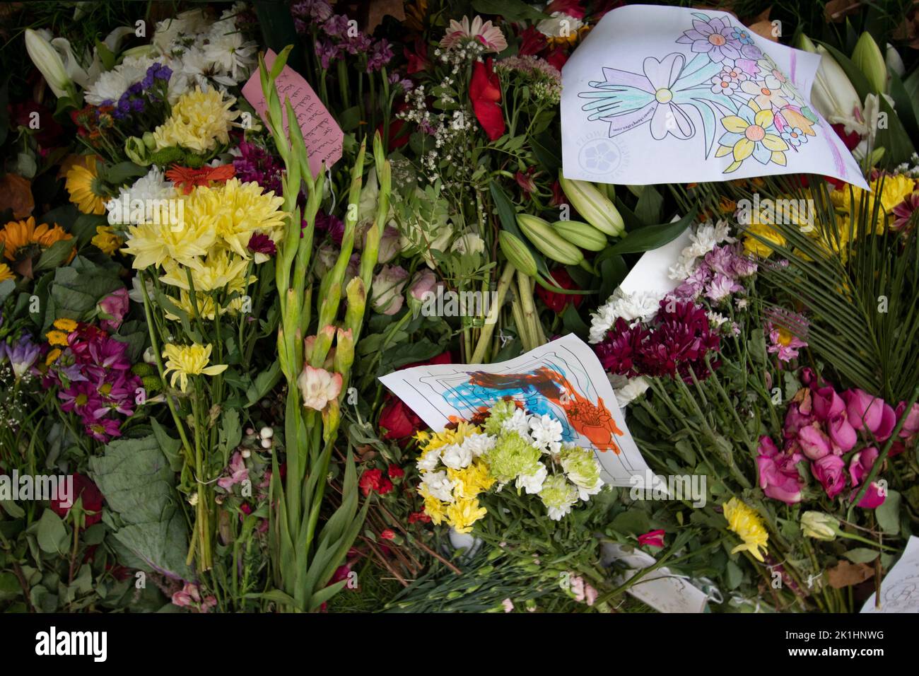 Omaggi floreali, biglietti e messaggi lasciati a Green Park dopo la morte della Regina Elisabetta, 18 settembre 2022, Londra Inghilterra Foto Stock
