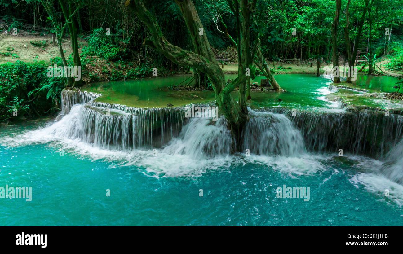Bella caduta d'acqua e foglie naturali e ruscello verde foresta nel concetto di montagna indietro terra copertina pagina ambiente ecologia o natura wal Foto Stock