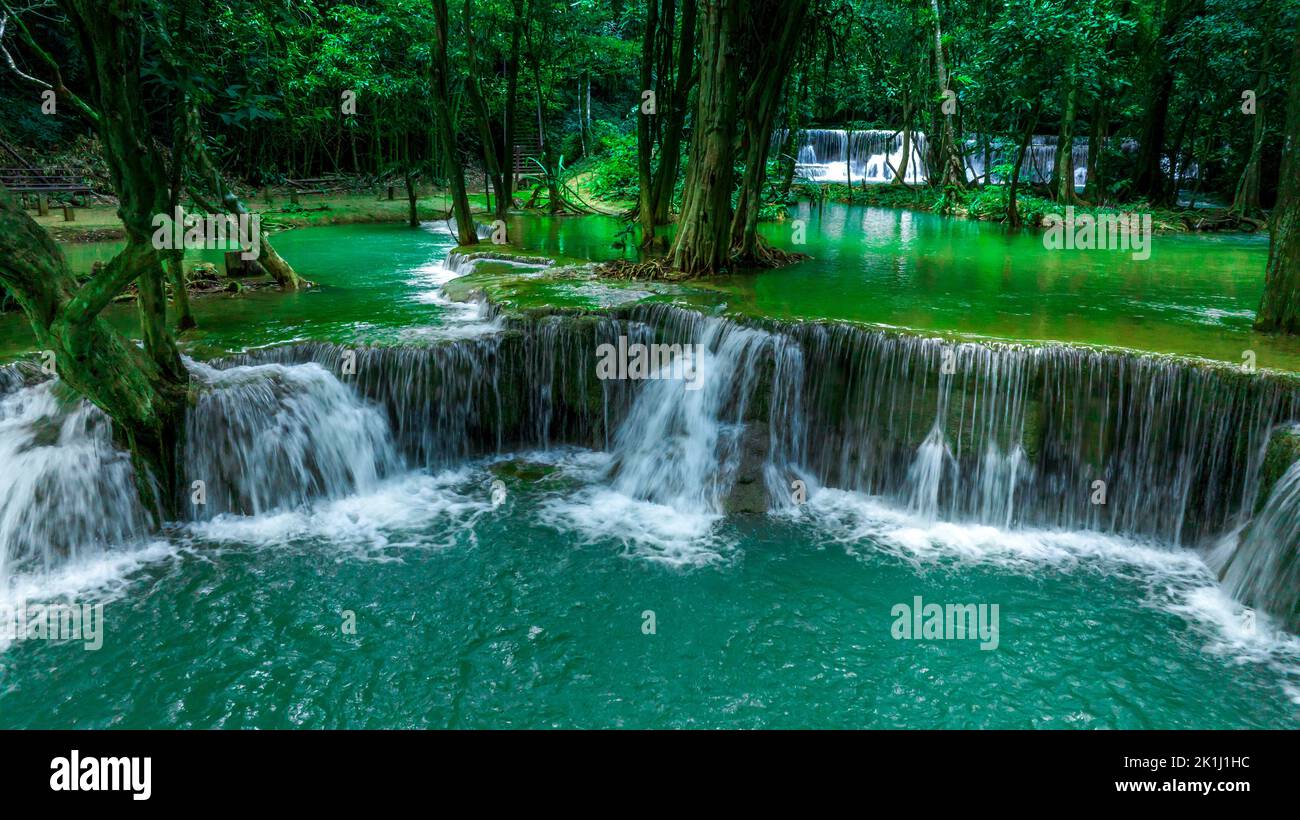 Bella caduta d'acqua e foglie naturali e ruscello verde foresta nel concetto di montagna indietro terra copertina pagina ambiente ecologia o natura wal Foto Stock