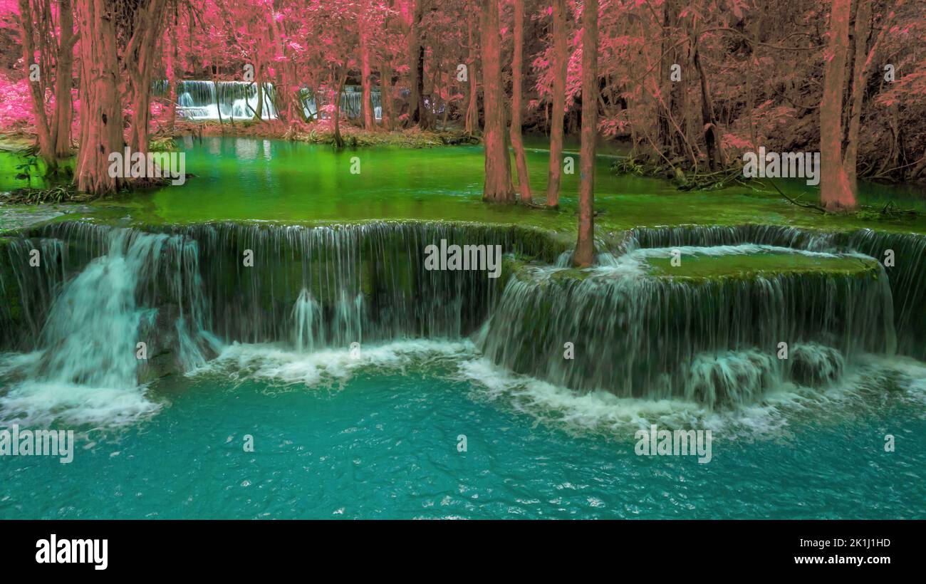 Bella caduta d'acqua e foglie naturali e ruscello verde foresta nel concetto di montagna indietro terra copertina pagina ambiente ecologia o natura wal Foto Stock