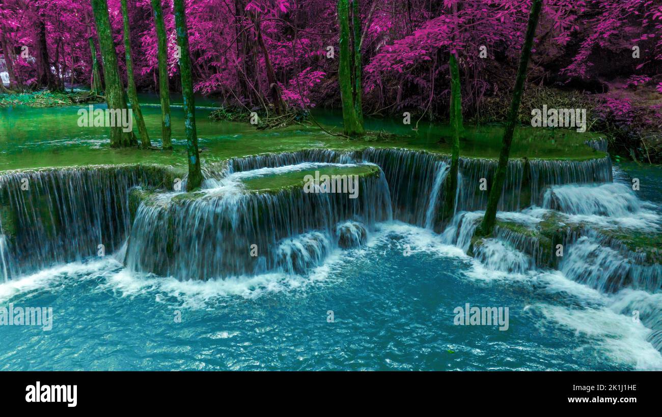 Bella caduta d'acqua e foglie naturali e ruscello verde foresta nel concetto di montagna indietro terra copertina pagina ambiente ecologia o natura wal Foto Stock