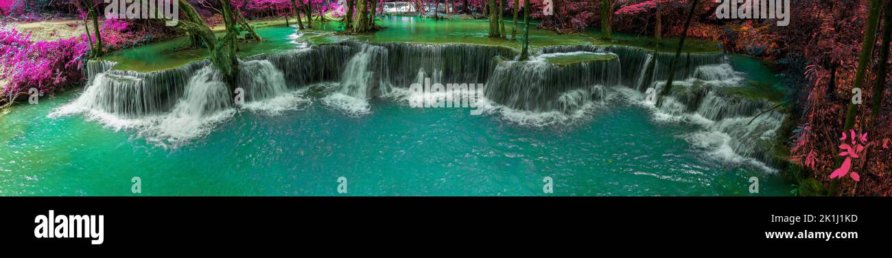 Bella caduta d'acqua e foglie naturali e ruscello verde foresta nel concetto di montagna indietro terra copertina pagina ambiente ecologia o natura wal Foto Stock