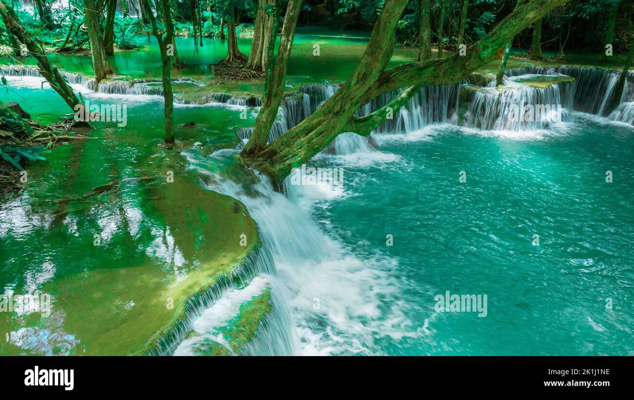 Bella caduta d'acqua e foglie naturali e ruscello verde foresta nel concetto di montagna indietro terra copertina pagina ambiente ecologia o natura wal Foto Stock