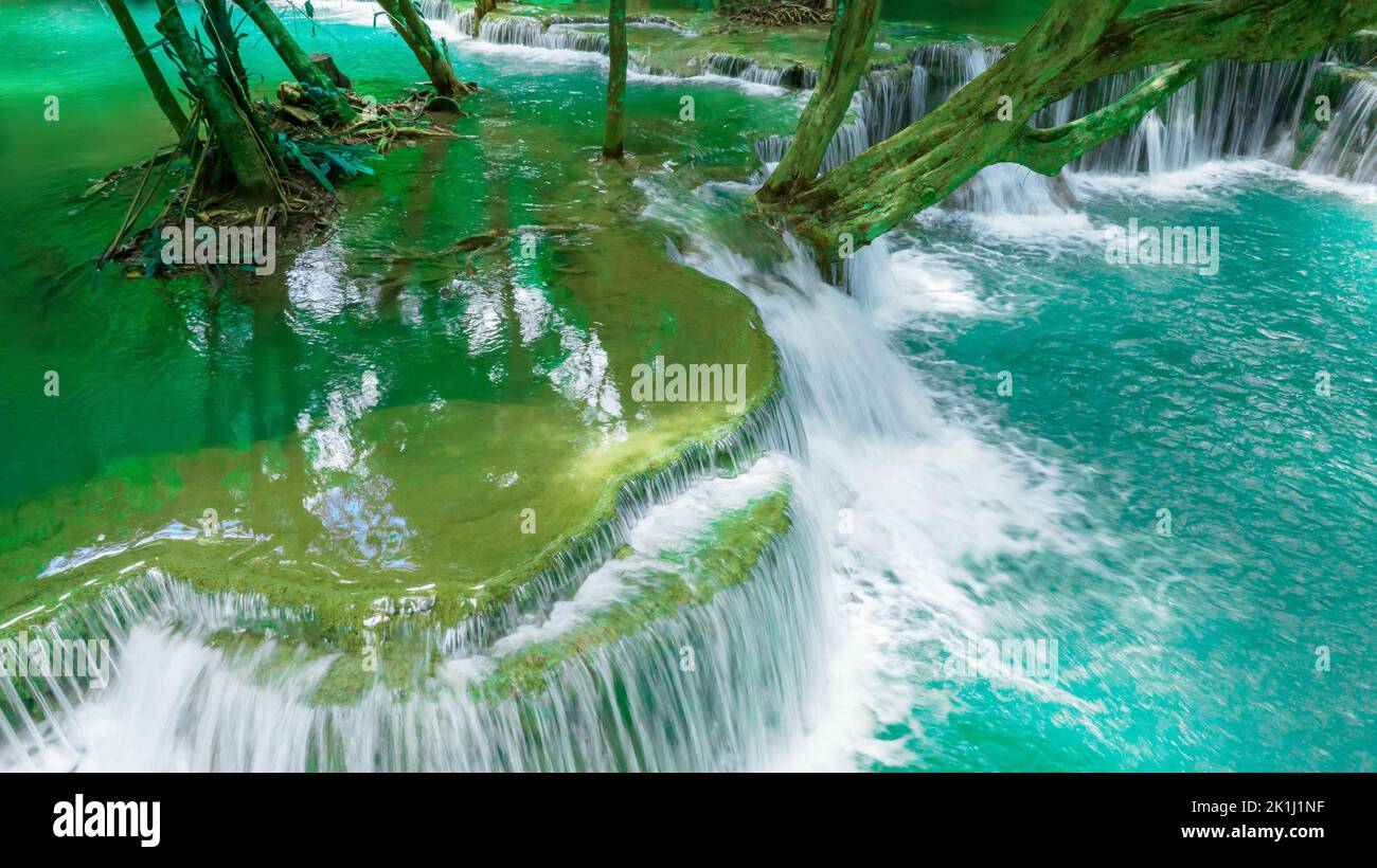 Bella caduta d'acqua e foglie naturali e ruscello verde foresta nel concetto di montagna indietro terra copertina pagina ambiente ecologia o natura wal Foto Stock
