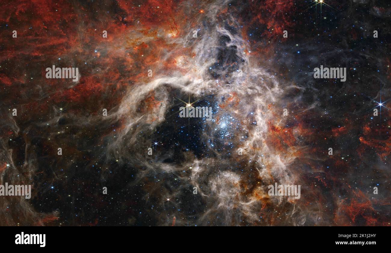 Spazio. 6th Set, 2022. Vivaio stellare 30 Doradus prende il suo soprannome di Tarantula Nebula dai suoi lunghi filamenti polverosi. Situata nella grande galassia Magellanica Cloud, è la più grande e luminosa regione che forma le stelle vicino alla nostra galassia, oltre a casa delle stelle più calde e massicce conosciute. Il centro di questa immagine, ripresa dallo strumento NIRCam (Near-Infrared Camera Instrument) di Webb, è stato scavato dalle radiazioni di stelle giovani e massicce (viste in blu chiaro e brillante). Solo le aree più dense circostanti della nebulosa resistono all'erosione, formando i pilastri che sembrano puntare indietro verso Th Foto Stock