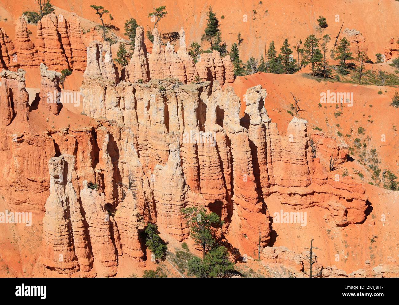 Primo piano del paesaggio del Bryce Canyon nello Utah, Stati Uniti Foto Stock