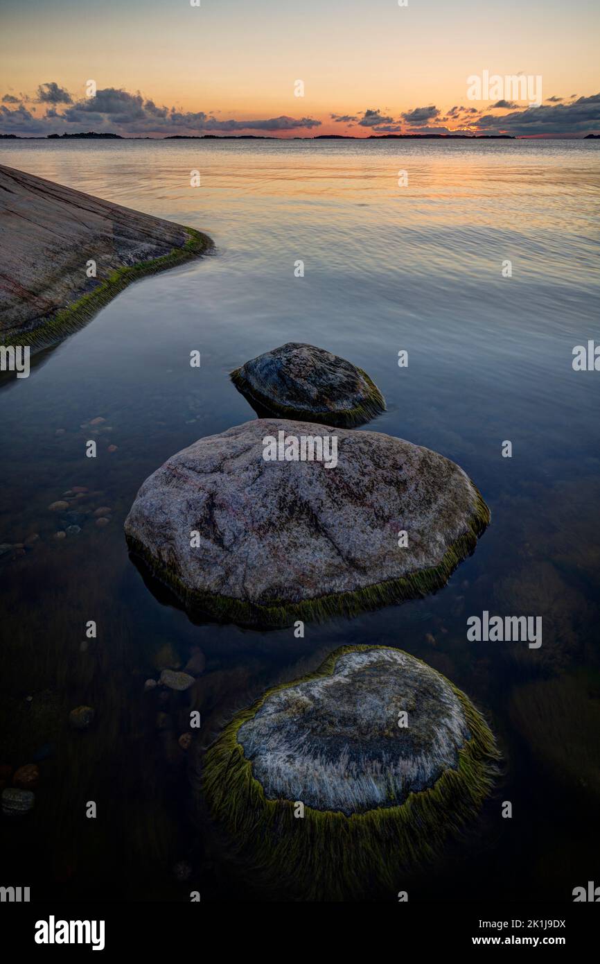 Splendida vista su rocce e scogliere con alghe nel Mar Baltico a Hanko, Finlandia, al tramonto in estate. Foto Stock