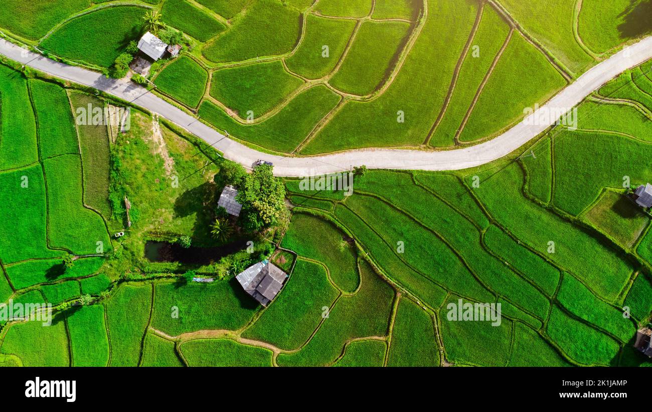 Vista aerea delle verdi risaie a terrazza sulle montagne in primavera. Bella zona verde di giovani risaie o terra agricola nel nord della Thailandia Foto Stock