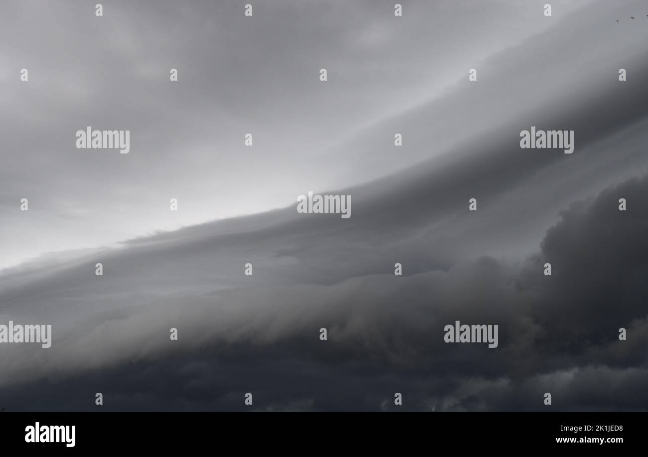 Nube di Arcus che si muove nella tempesta, formazioni di nube di Cumulonimbus sul cielo tropicale, Nimbus che si muove, sfondo astratto dal fenomeno naturale Foto Stock