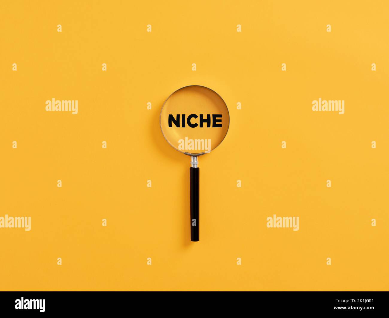 Lente d'ingrandimento o lente d'ingrandimento che mette a fuoco sulla nicchia di parola. Focalizzazione sul concetto di analisi di nicchia del mercato di destinazione. Foto Stock