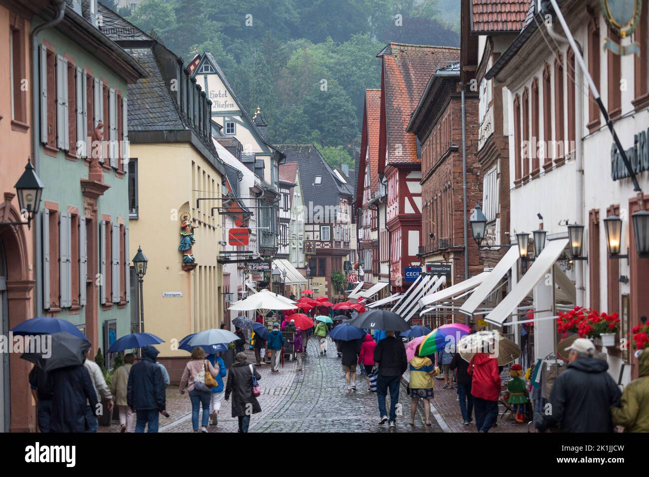 Turisti americani che fanno un tour guidato con ombrelloni rossi in città piovosa con case a graticcio, Miltenberg, Germania Foto Stock