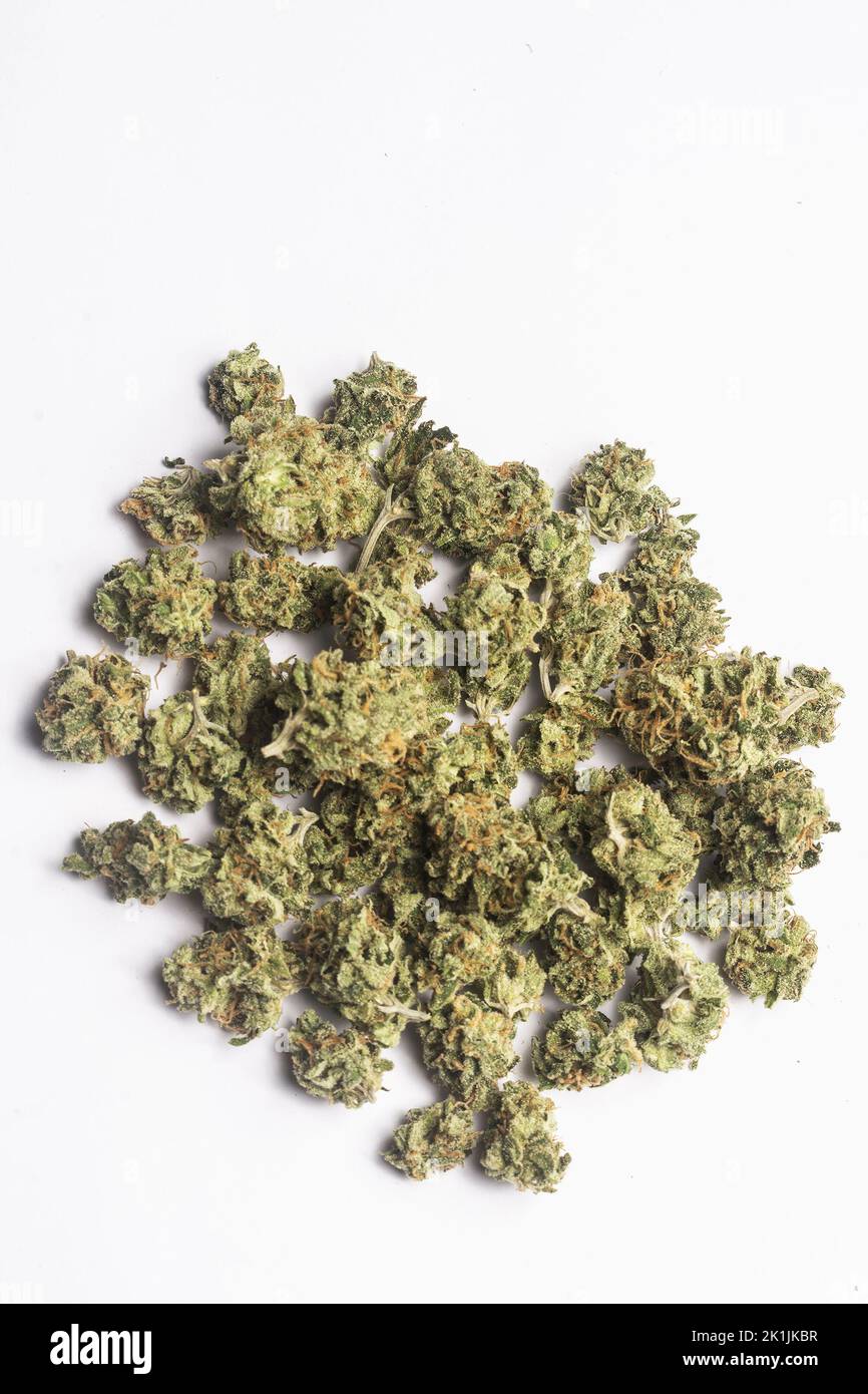 marijuana medicinale tailandese fiori di cannabis su sfondo bianco in thailandia Foto Stock