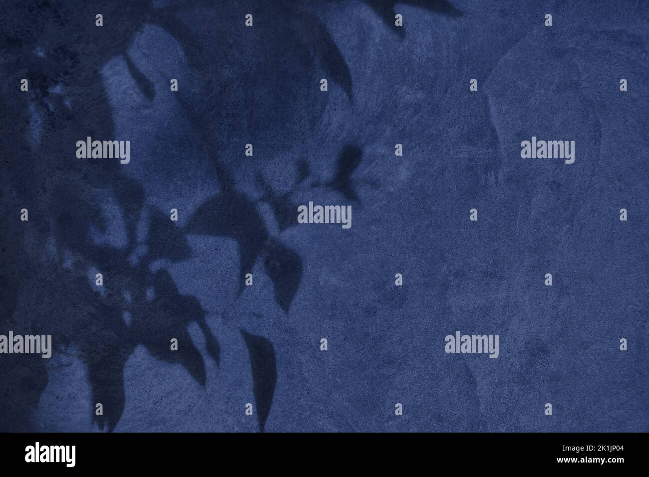 Ombra di foglie su sfondo blu di struttura muraria in cemento Foto Stock