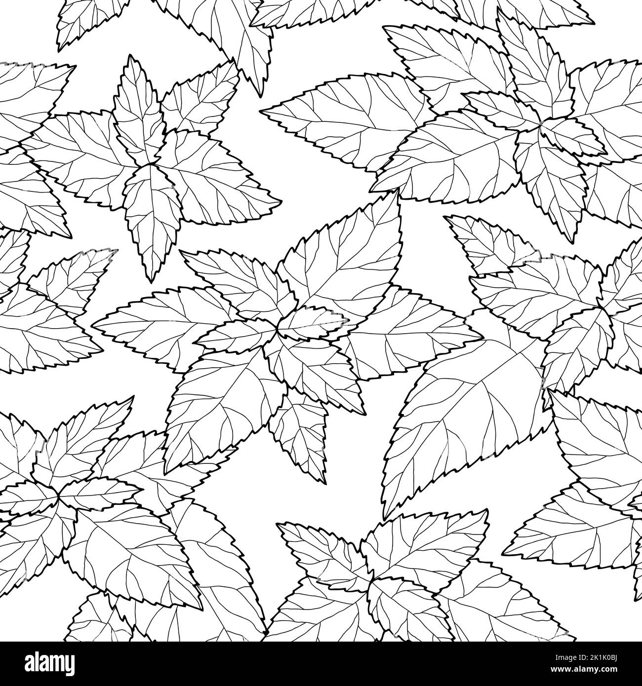 Ortica pianta senza cuciture motivo sfondo grafico bianco nero disegno vettore di illustrazione Illustrazione Vettoriale