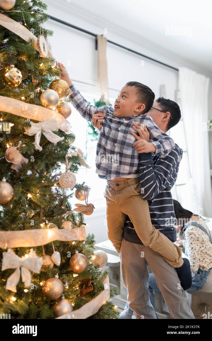 Ragazzo alzando il fratello piccolo aiutare con le decorazioni dell'albero di Natale Foto Stock