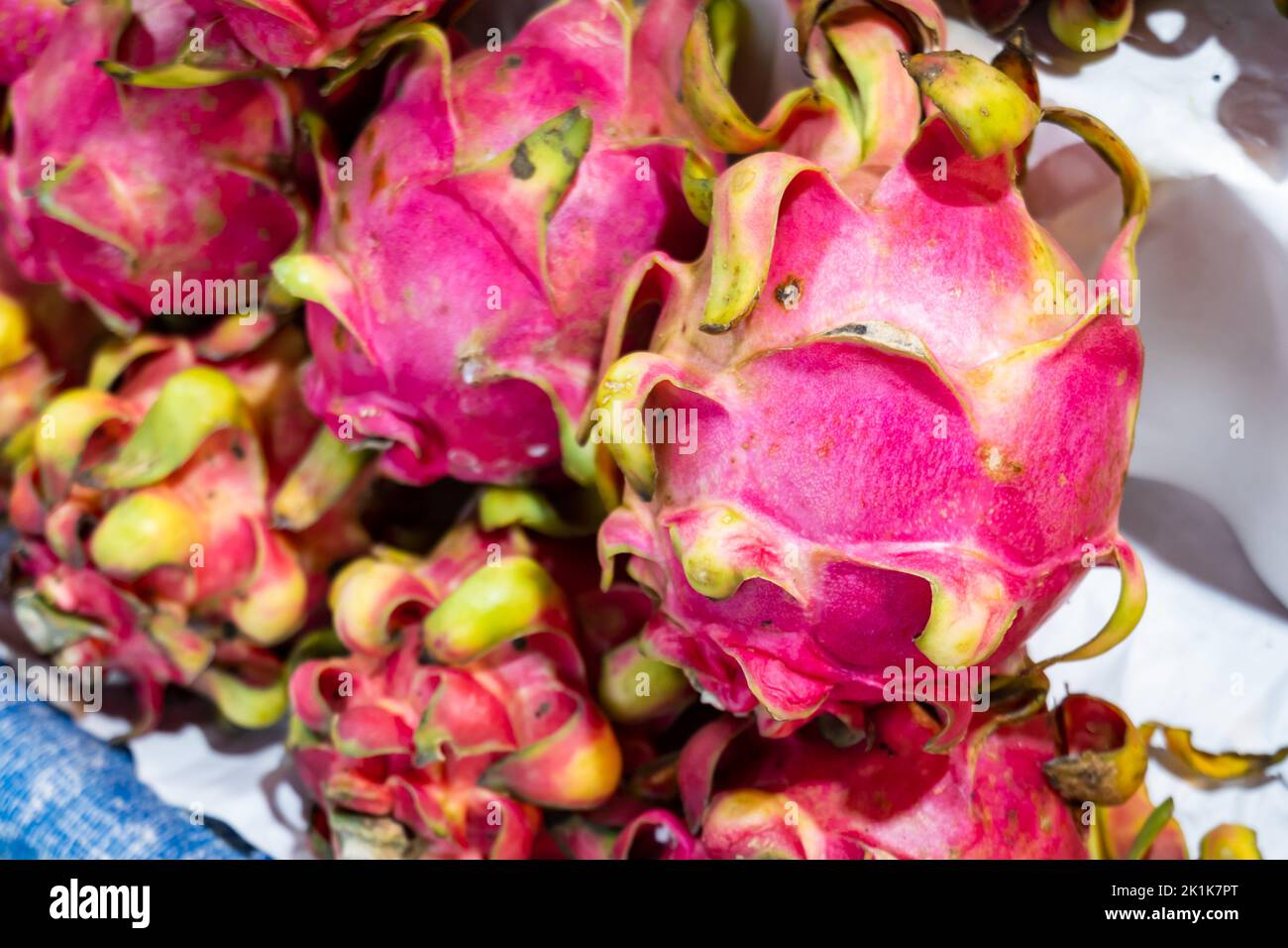Frutti di drago, primo piano di frutta fresca drago sul mercato. Closeup di frutta tropicale matura. Mercato asiatico della frutta stallo in Thailandia Foto Stock