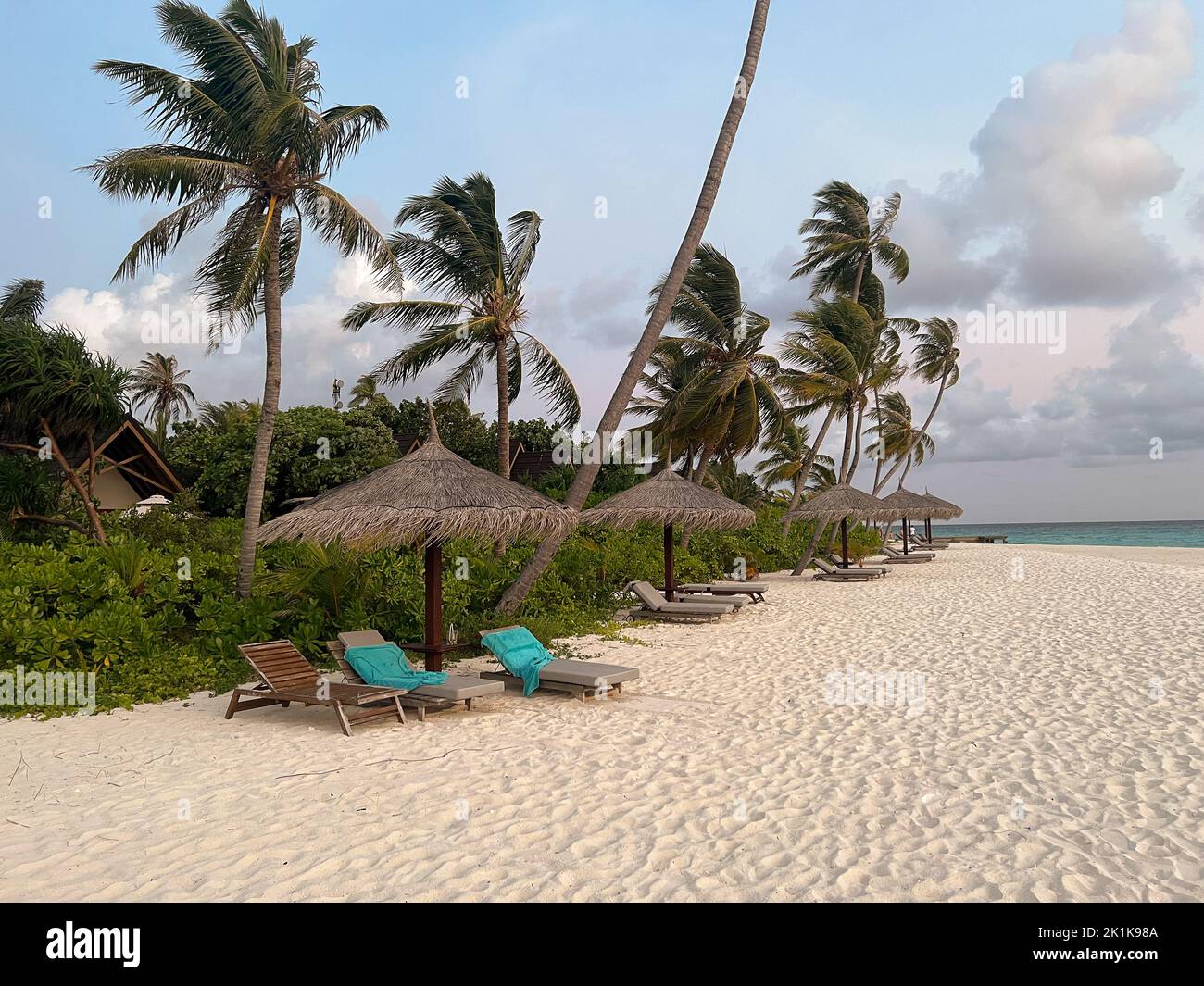 Vista della bellissima spiaggia di sabbia bianca incontaminata con palme e lettini con ombrelloni su un'isola delle Maldive. Foto Stock