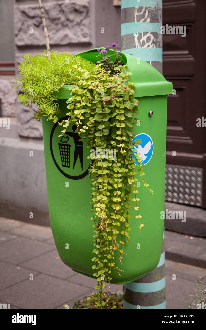 Una spazzatura di lettiera piantata può in via Koerner nel distretto di Ehrenfeld di Colonia, Germania. ein bepflanzter Abfalleimer in der Koernerstrasse im S Foto Stock