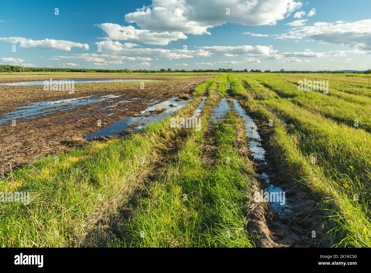 Campo allagato e prato verde dopo la pioggia, settembre vista rurale nella Polonia orientale Foto Stock