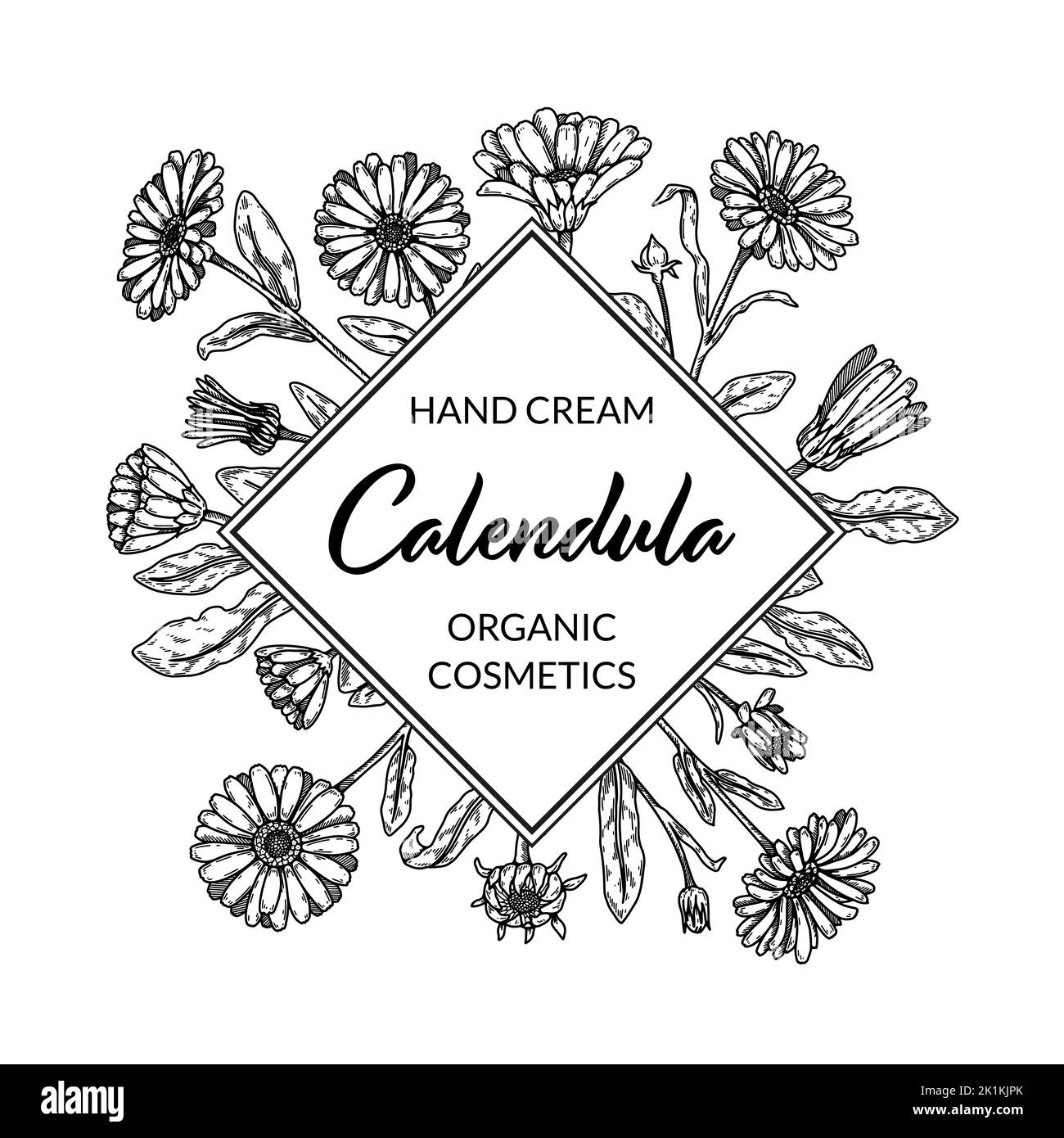 Telaio in calendula con elementi disegnati a mano. Illustrazione vettoriale nello stile di schizzo. Design di packaging vintage Illustrazione Vettoriale