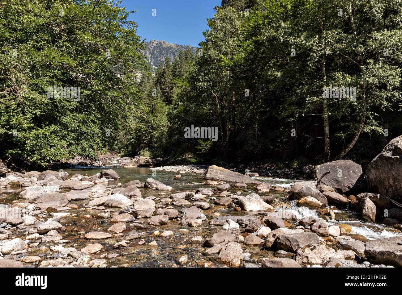 Bujaruelo valle nei Pirenei in estate con il fiume Ara in primo piano Foto Stock