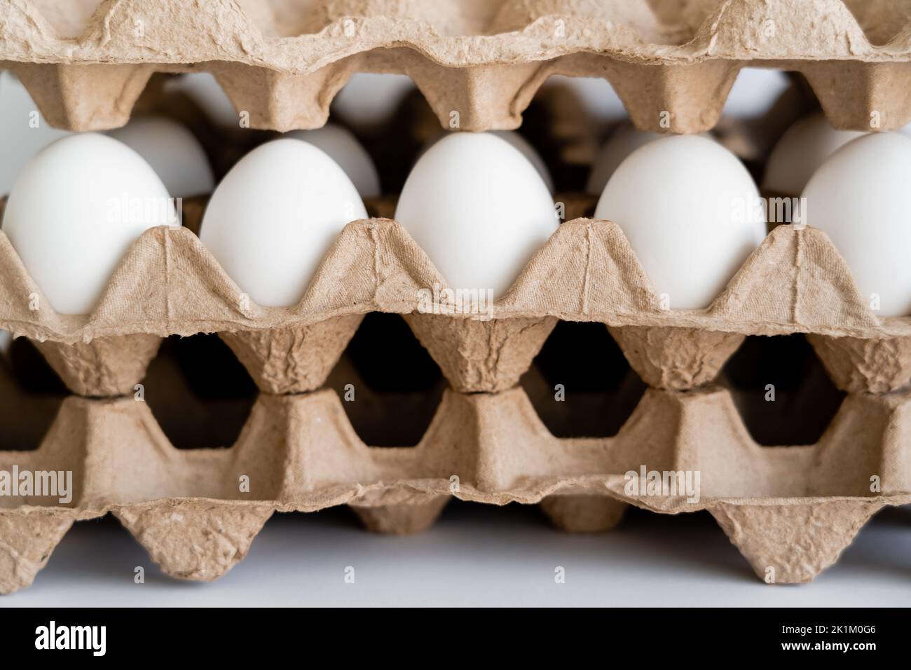 Uova tra contenitori di cartone su fondo bianco Foto Stock