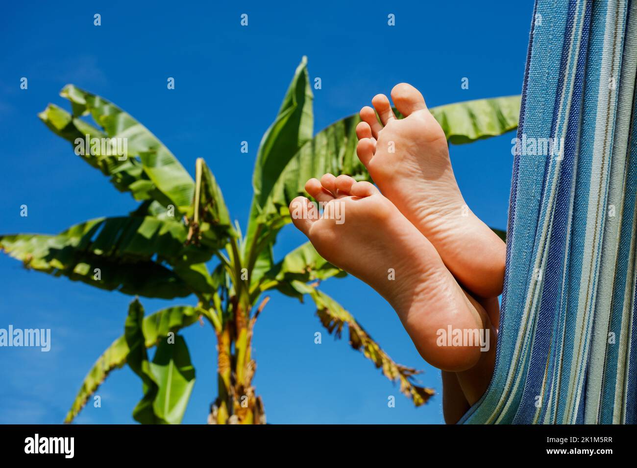 Il ragazzo riposa in un'amaca in giardino con palme sopra il cielo blu Foto Stock