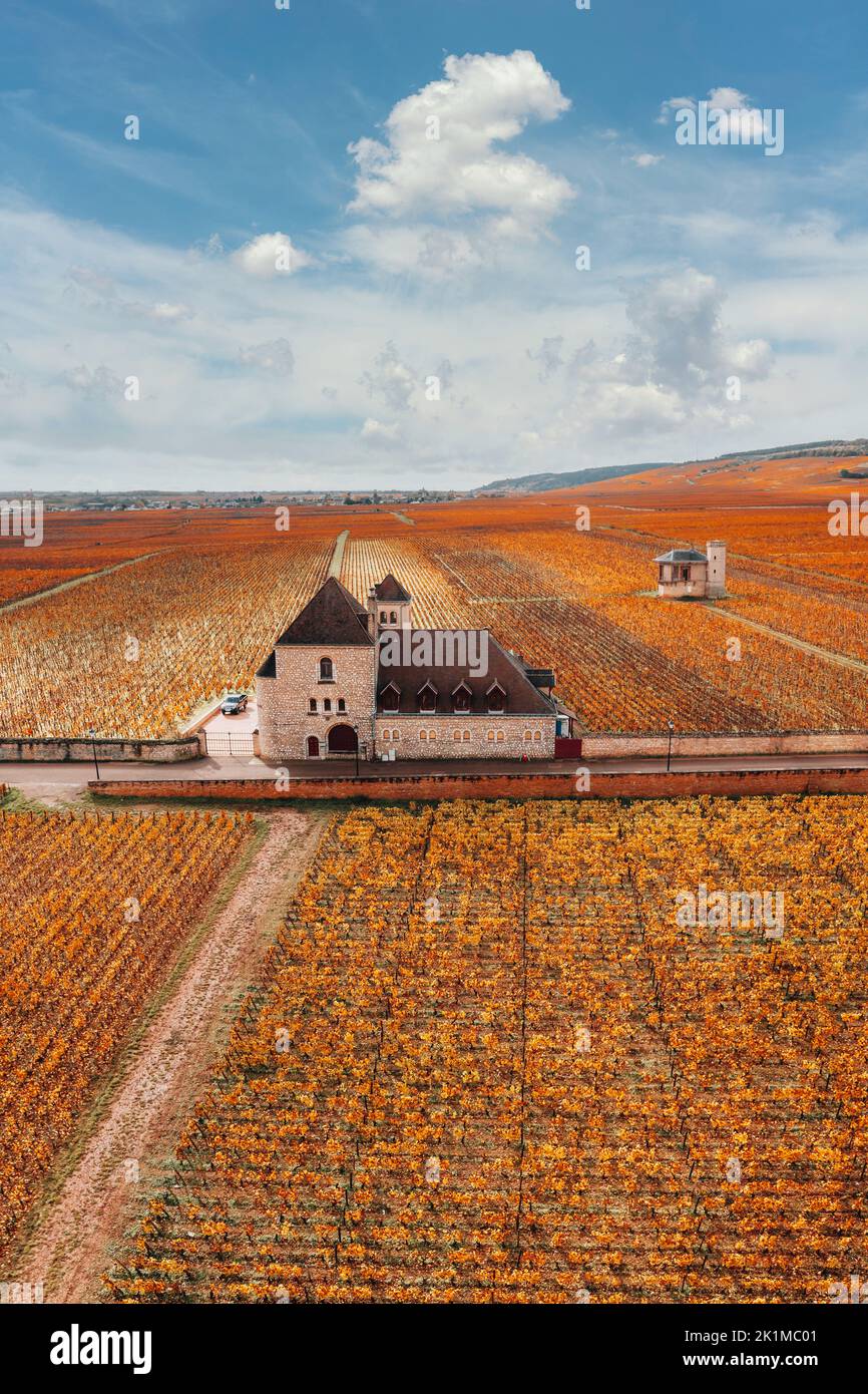 Castello e vigneti in Borgogna, vista aerea in autunno. Francia Foto Stock