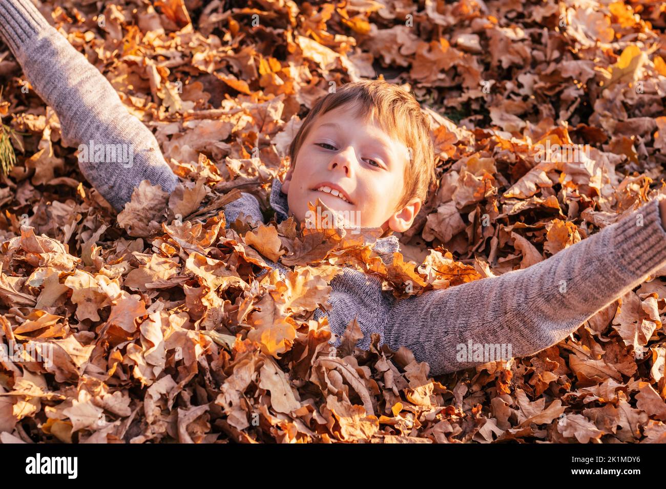 Ragazzo di 9-10 anni si trova sepolto in foglie di rovere giallo autunno nel parco in raggi di sole e sorrisi. Bambino in maglione grigio gioca e si diverte Foto Stock