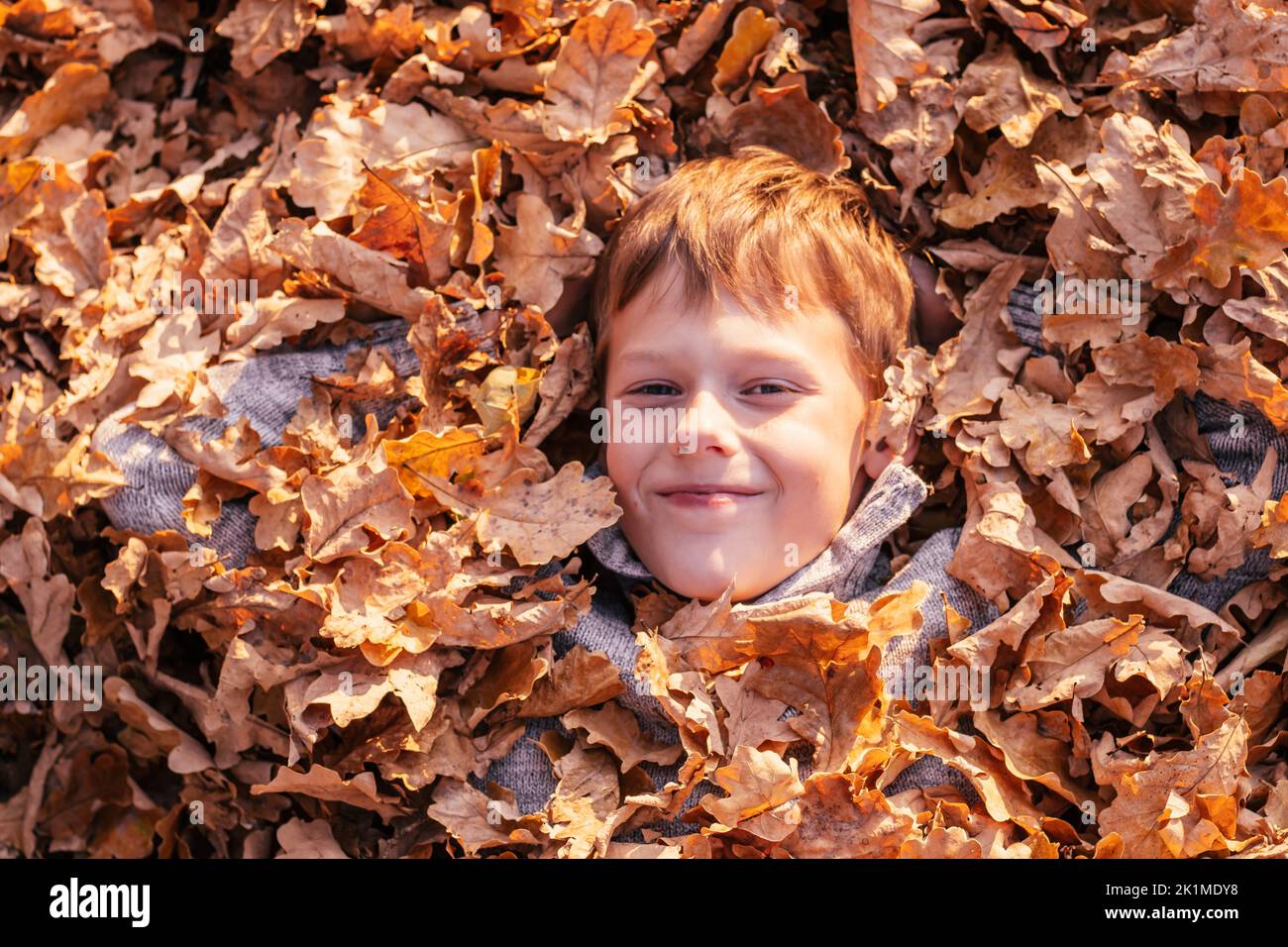 Ragazzo di 9-10 anni si trova sepolto in foglie di rovere giallo autunno nel parco in raggi di sole e sorrisi. Bambino in maglione grigio gioca e si diverte Foto Stock