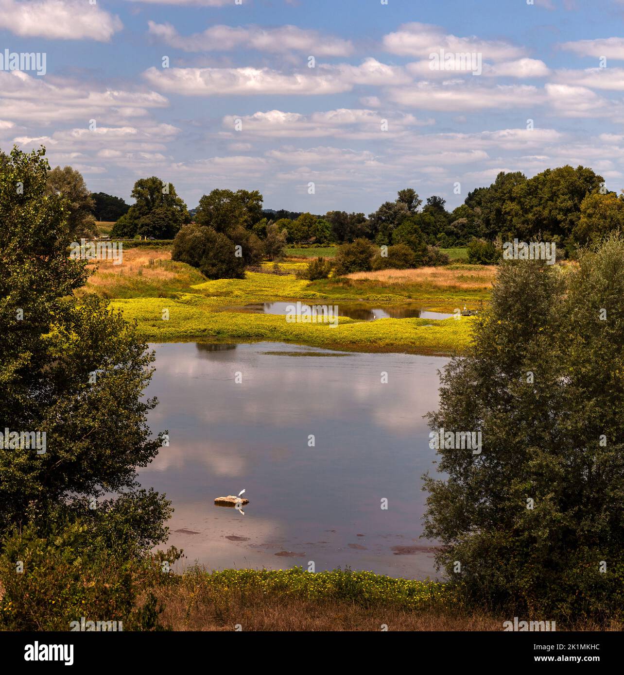 Vista del fiume Gave de Pau nei Pirenei Atlantici, Nuova Aquitania. Francia Foto Stock