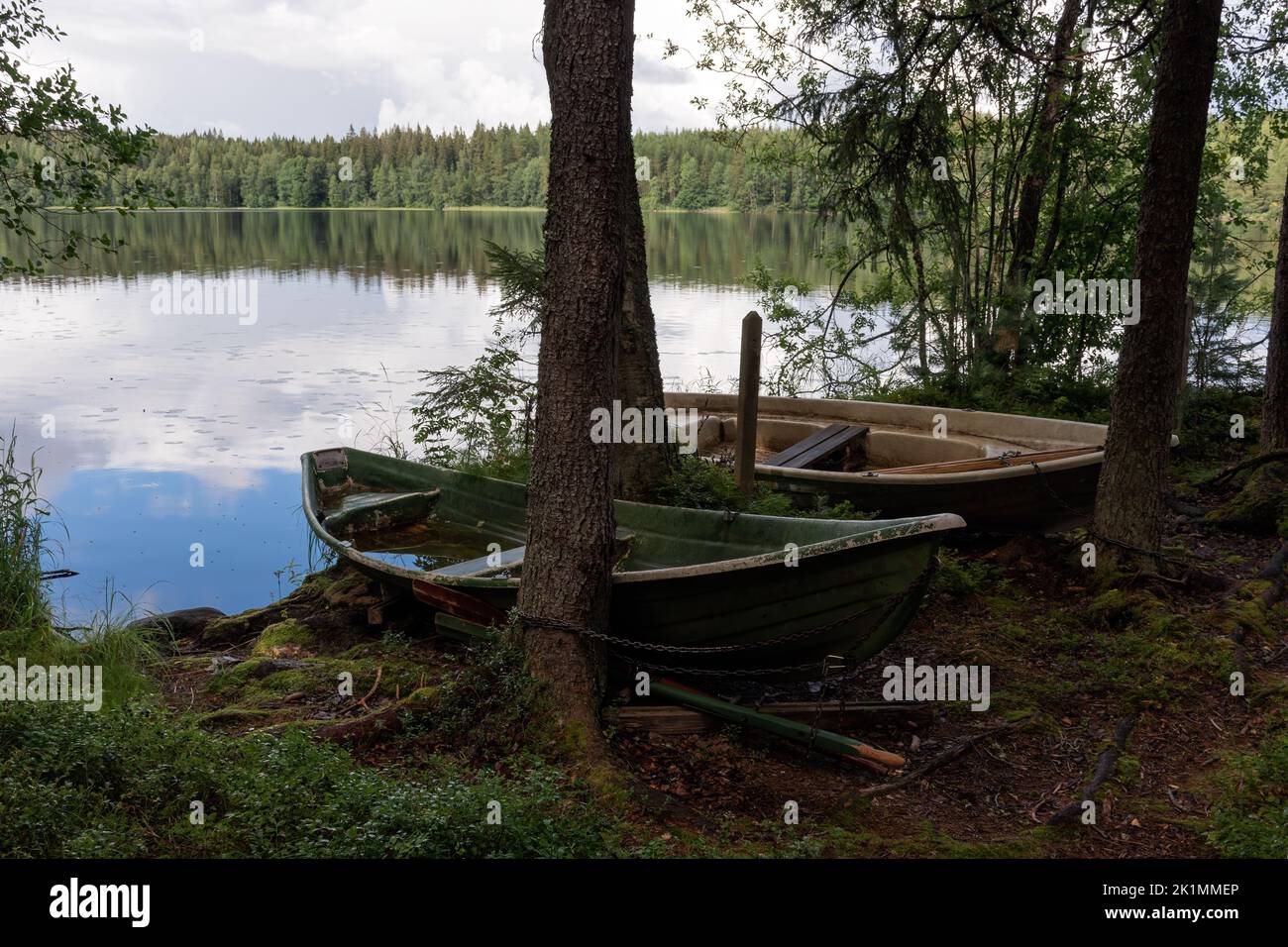 Due barche a remi su una spiaggia legata ad un albero vicino ad un lago in una foresta finlandese Foto Stock