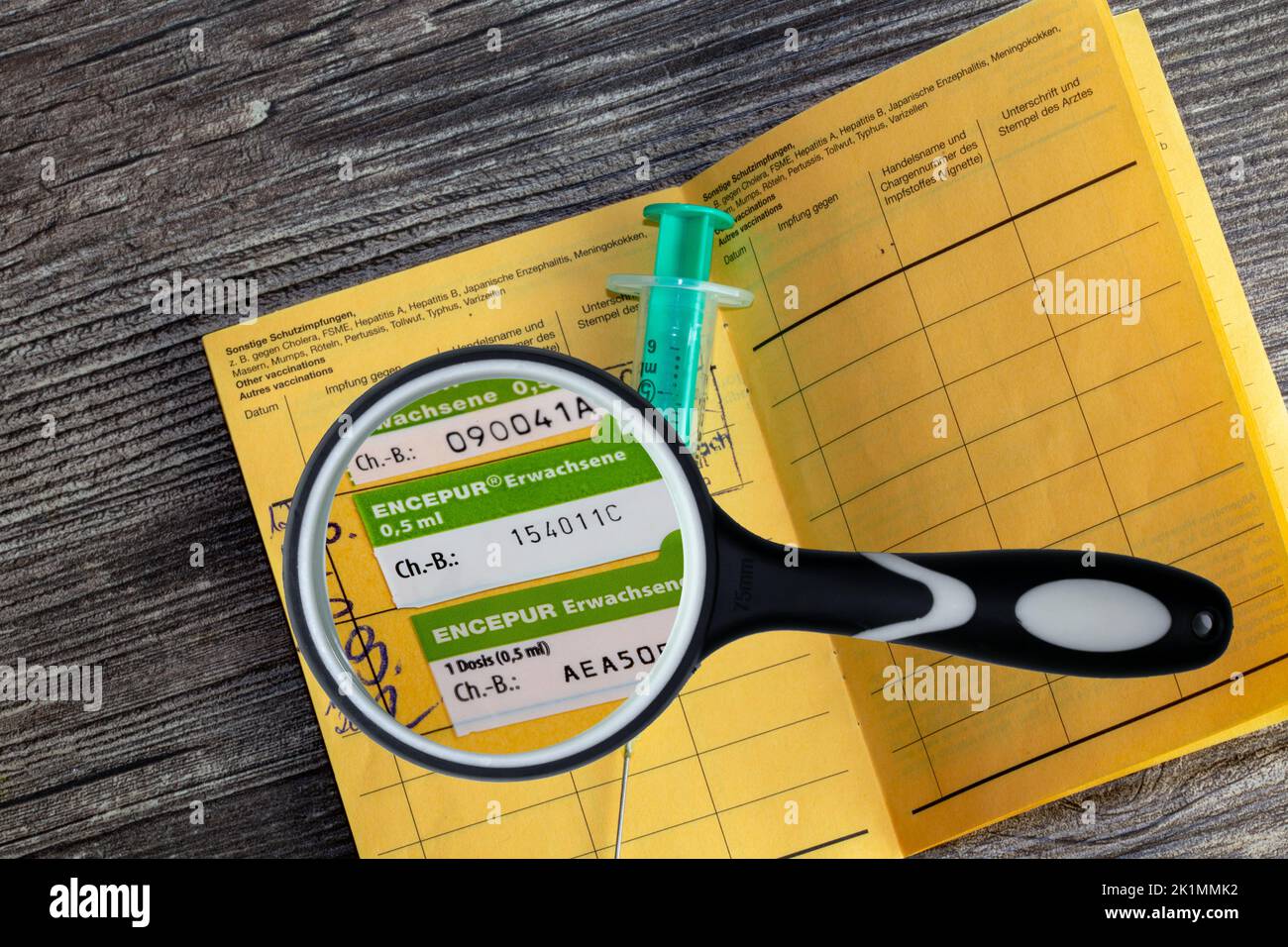 Symbolbild Zeckenimpfung: Aufgeschlagenes gelbes Impfbuch mit einem neuen Eintrag für eine Zeckenimpfung Foto Stock